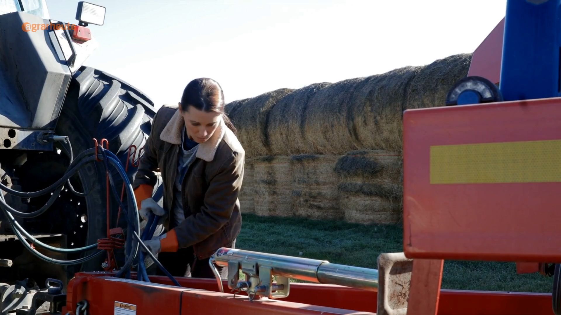 Future of Agriculture: EU Commission Aims to Double Share of Young Farmers