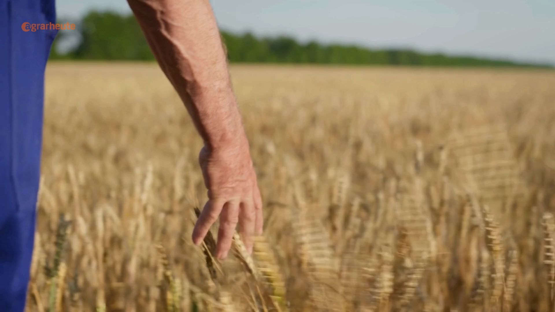 Farmer dies and bequeaths entire fortune to village community