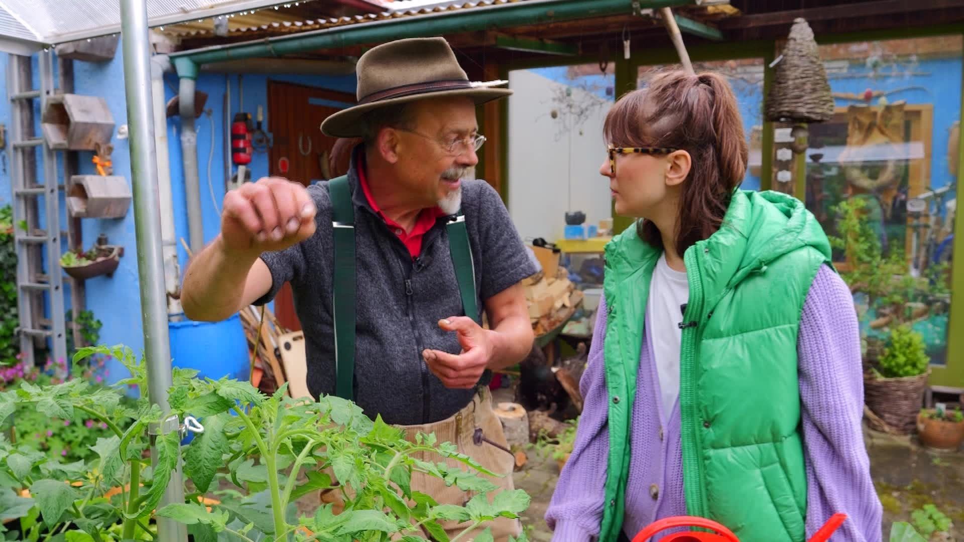 Für Hobbygärtner – Tipps und Tricks für das Hochbeet