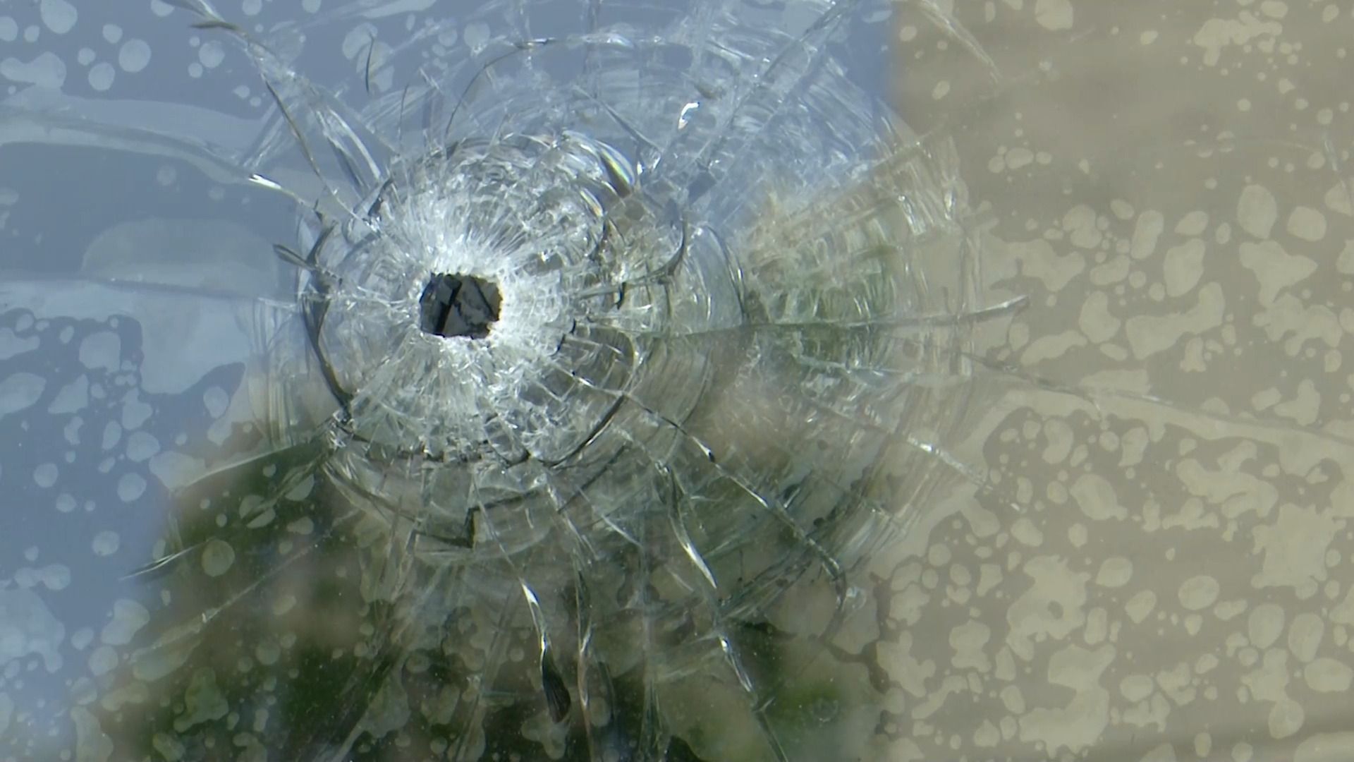 a.tv compact: Police investigate after shots fired at bar