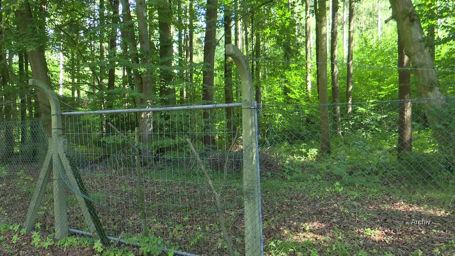 Video: a.tv kompakt: Bauanträge für Munitionsentsorgungsanlage in Zusamaltheim