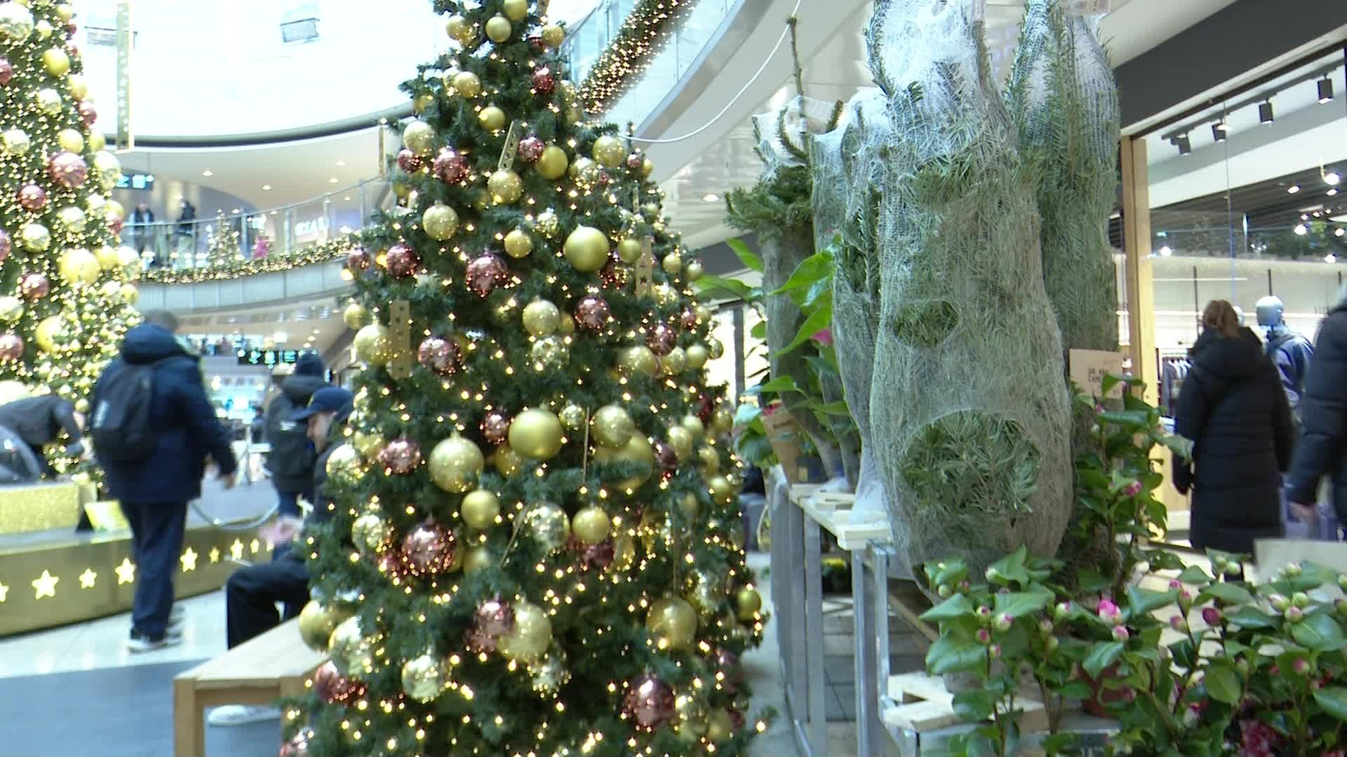 Video: Weihnachtsgeschäft 2025: Erfolgreiche Bilanz in Schwaben