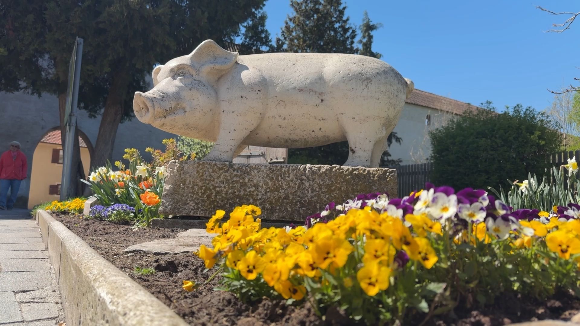 Video: Wie ein Schwein die Stadt gerettet haben soll: Die Geschichte der Nördlinger Sau