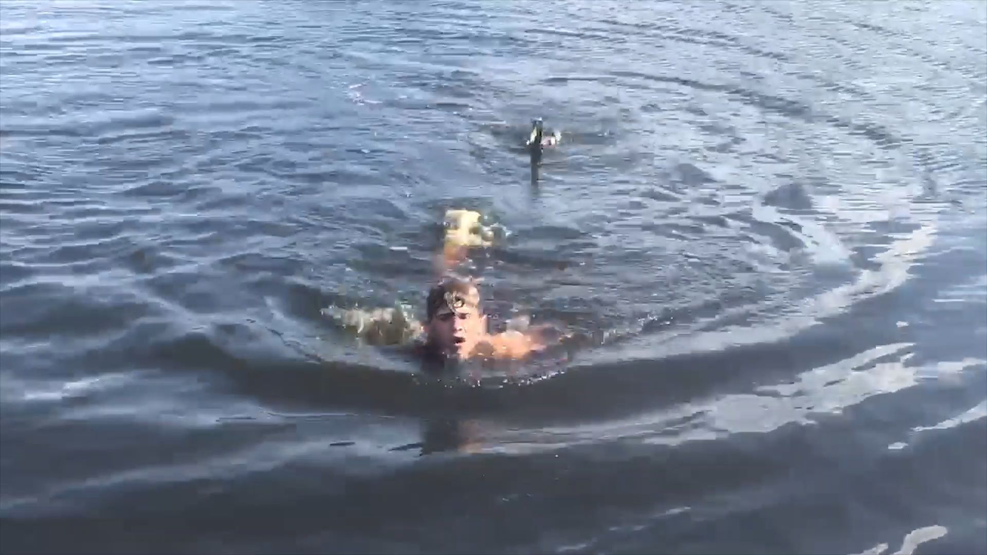 Un'anatra insegue un ragazzo nell'acqua