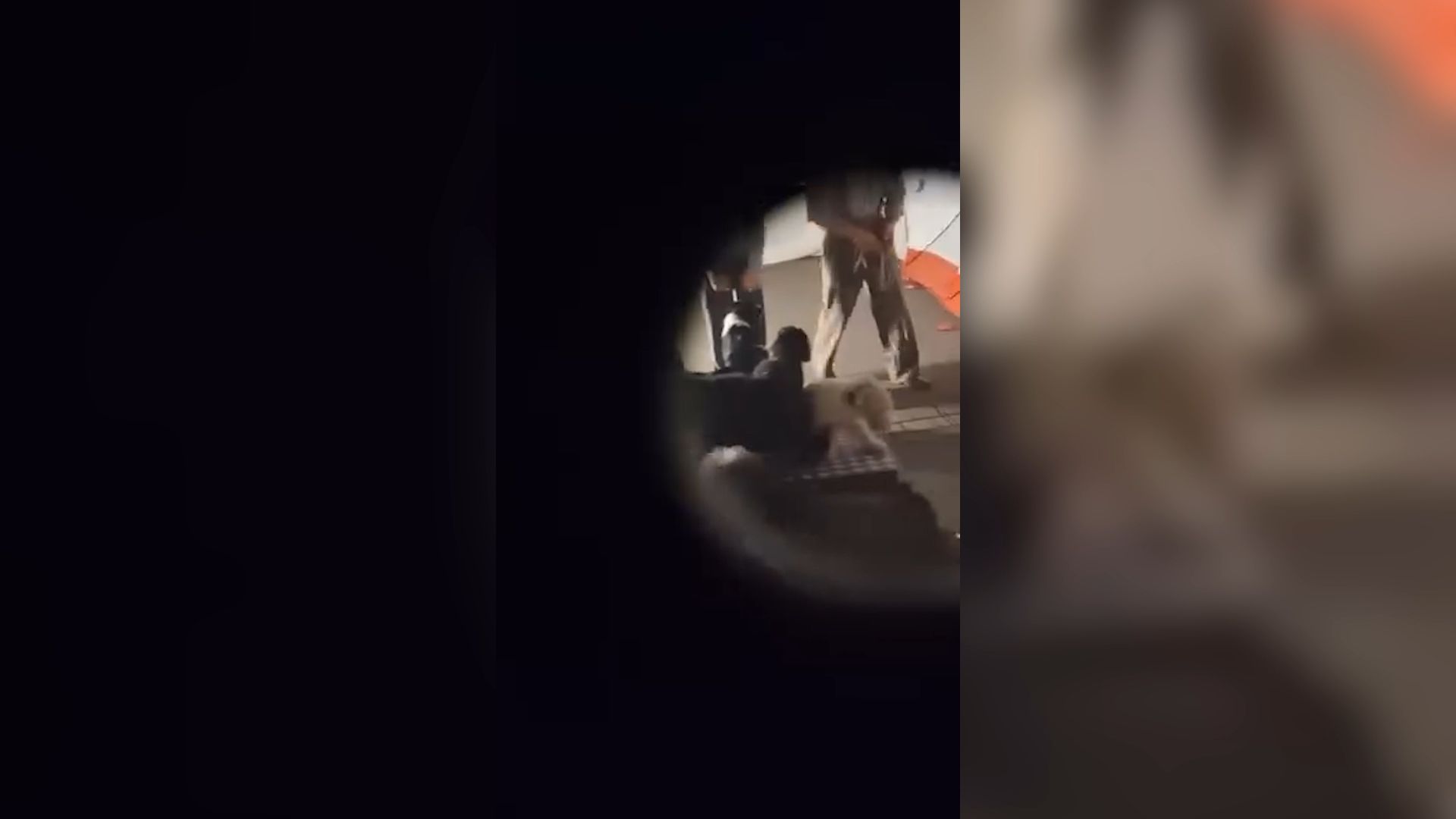 Tierquälerei-Vorwurf im Europa-Park: Hundetrainer nach Video-Aufnahmen im Visier