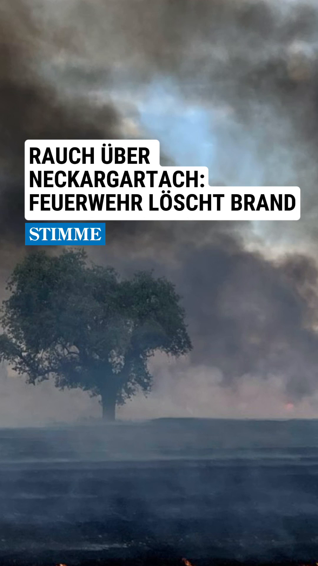 Smoke over Neckargartach: Firefighters extinguish fire
