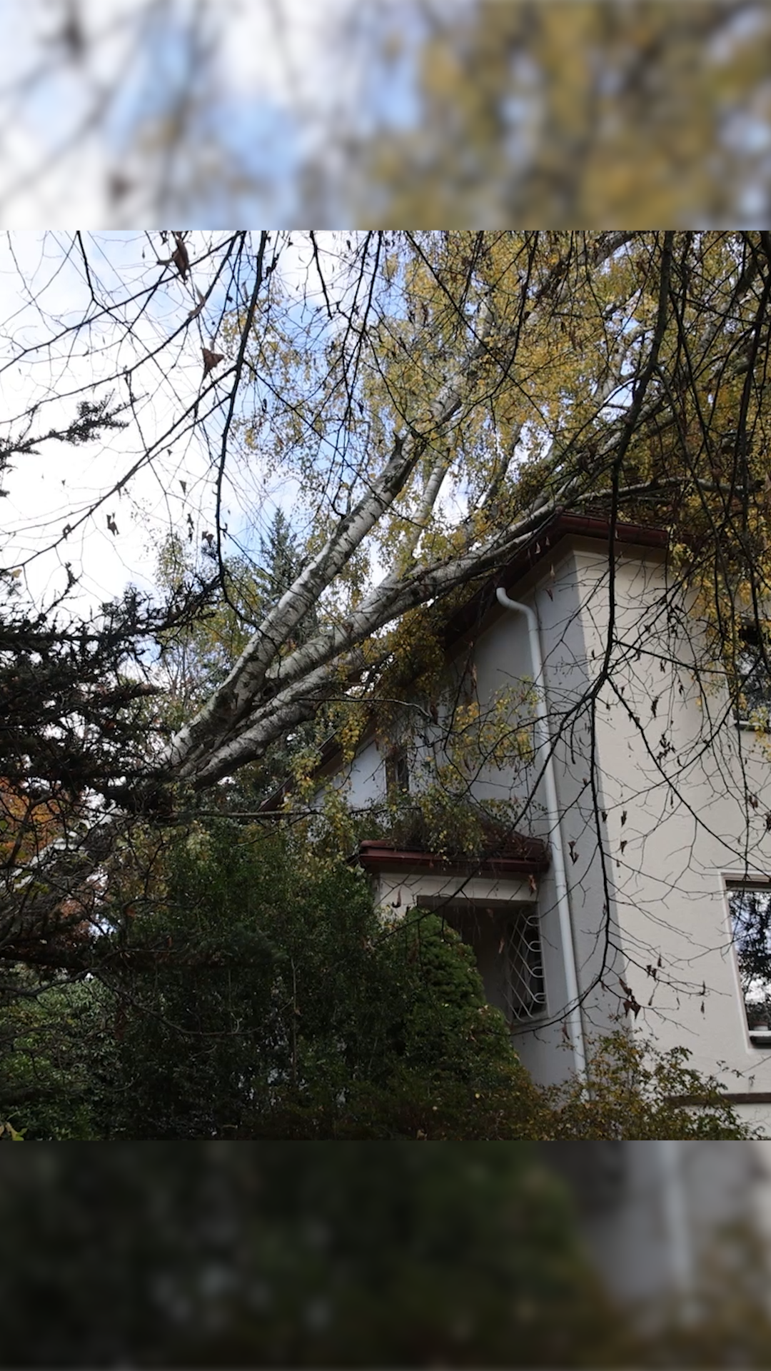 Video: Sturm in Chemnitz: Baum stürzt auf Wohnhaus