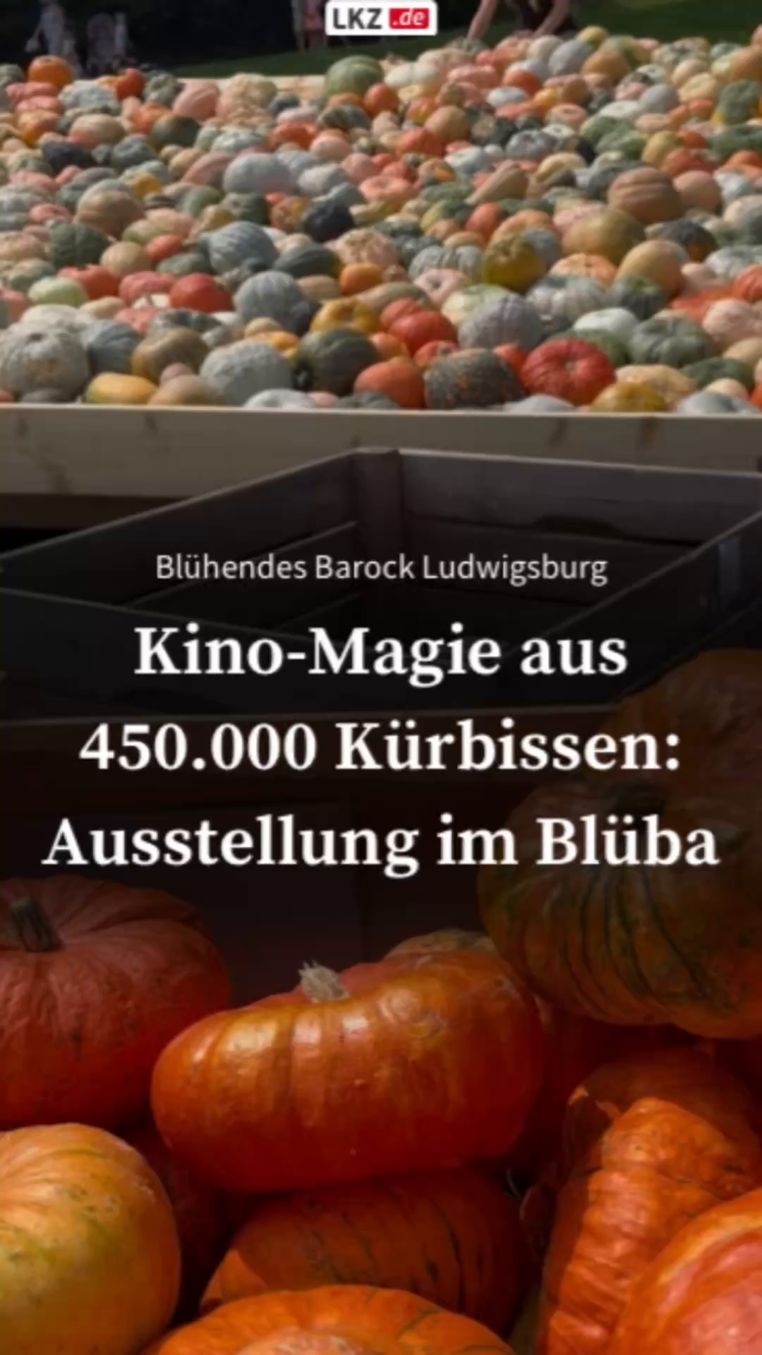 Pumpkin Exhibition 2025 in Ludwigsburg