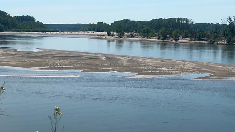Video: Dürre legt Donau lahm: Kreuzfahrtschiffe sitzen in Rumänien fest