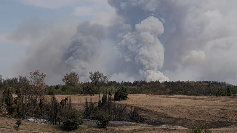 Video: Waldbrand außer Kontrolle: Russisches Löschflugzeug im Einsatz in Serbien