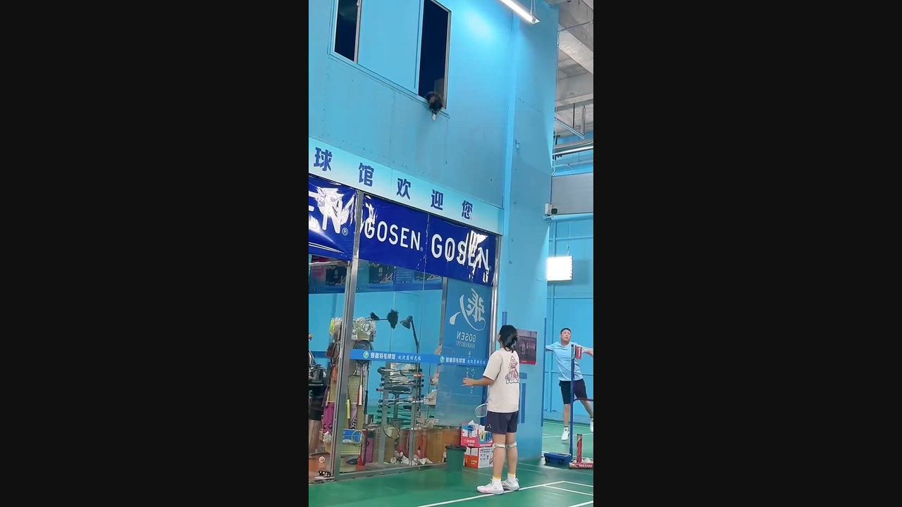Video: China: Chinesische Katze spielt Badminton mit Frau aus Fenster im zweiten Stock