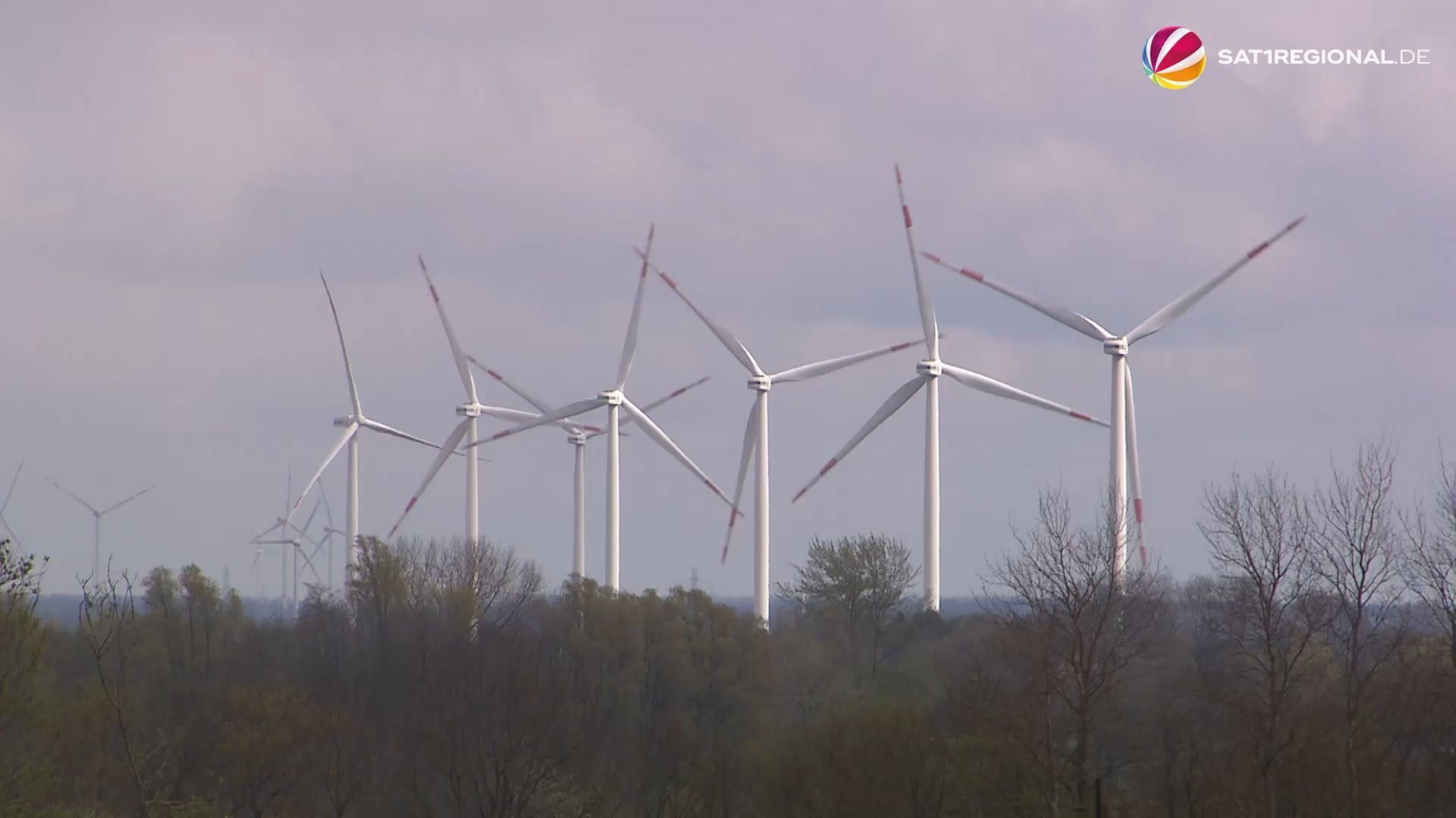 Branchentreff zum Ausbau der Windenergie