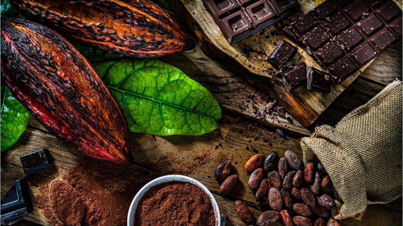 Neuartige Schokolade zum Patent angemeldet - das macht sie so besonders