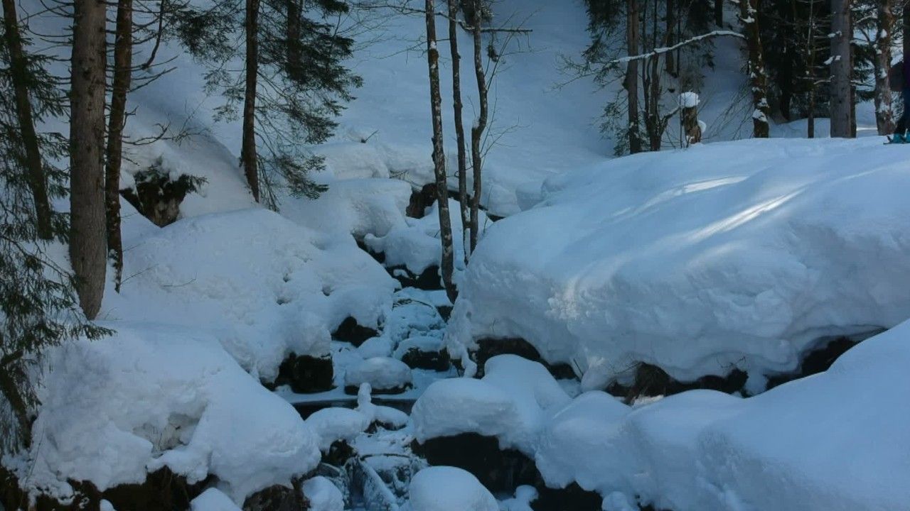Weiße Weihnachten immer seltener