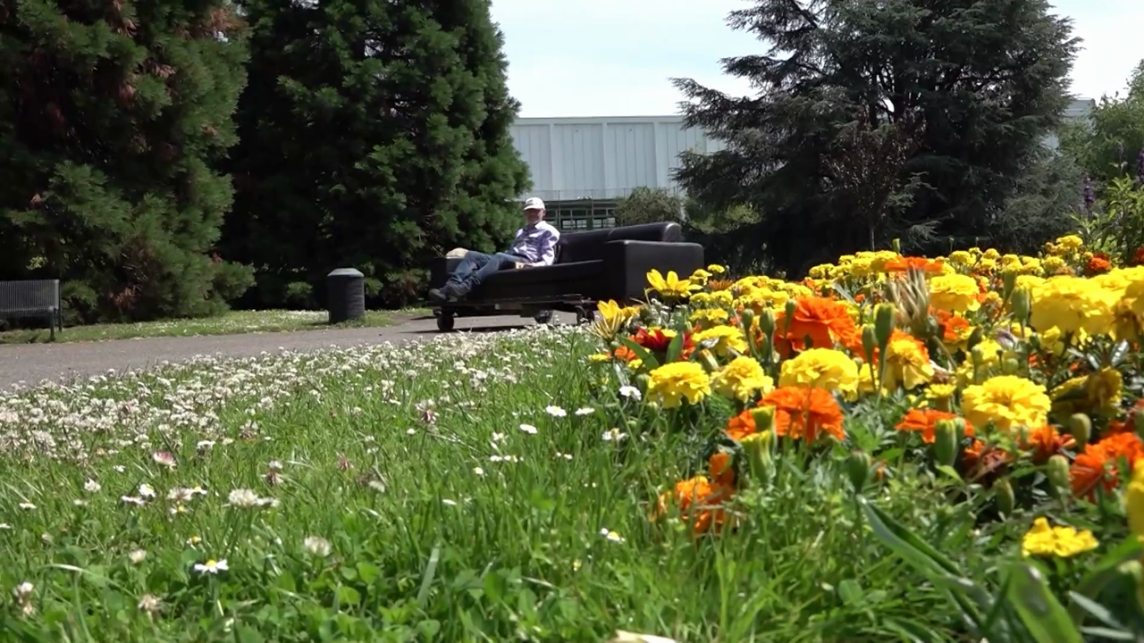 Video: Sofa auf Rädern: Der mobile Star im Kölner Rheinpark