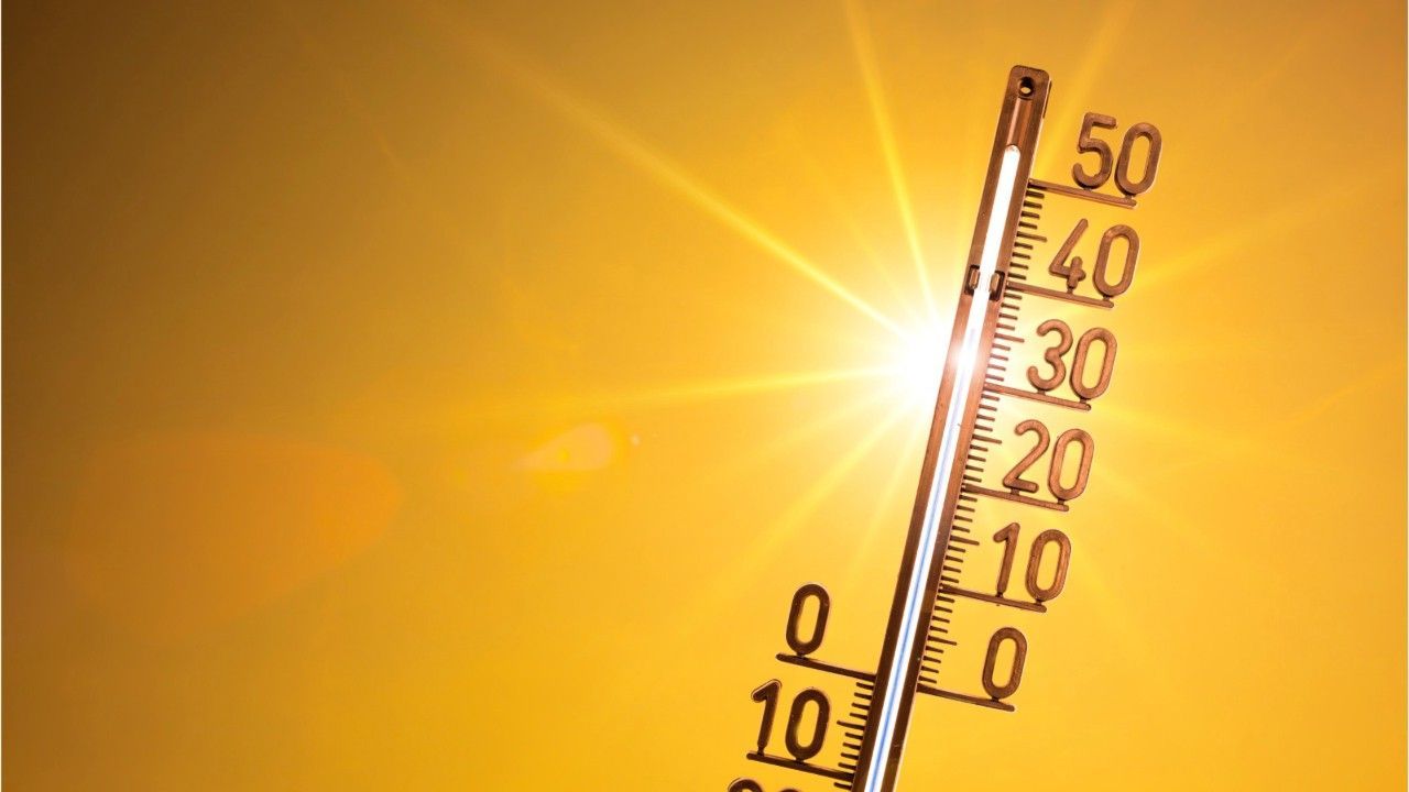 Caution Heat: Temperatures up to 37 degrees