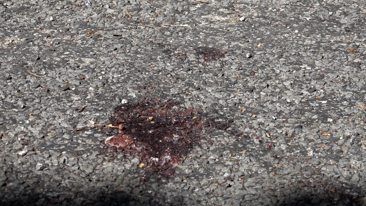 Video: Mutter und Baby erschlagen: Grausame Morde wecken schmerzhafte Erinnerungen