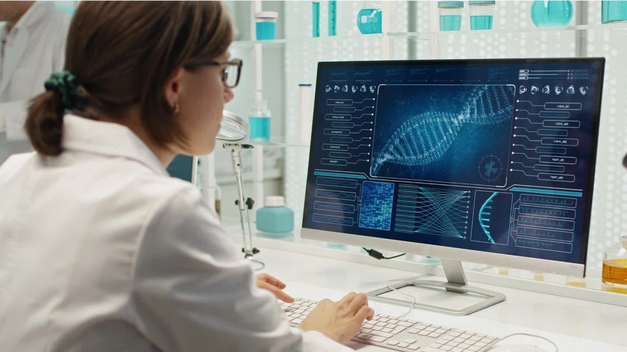 Jurassic Park in Neuseeland? Das steckt dahinter