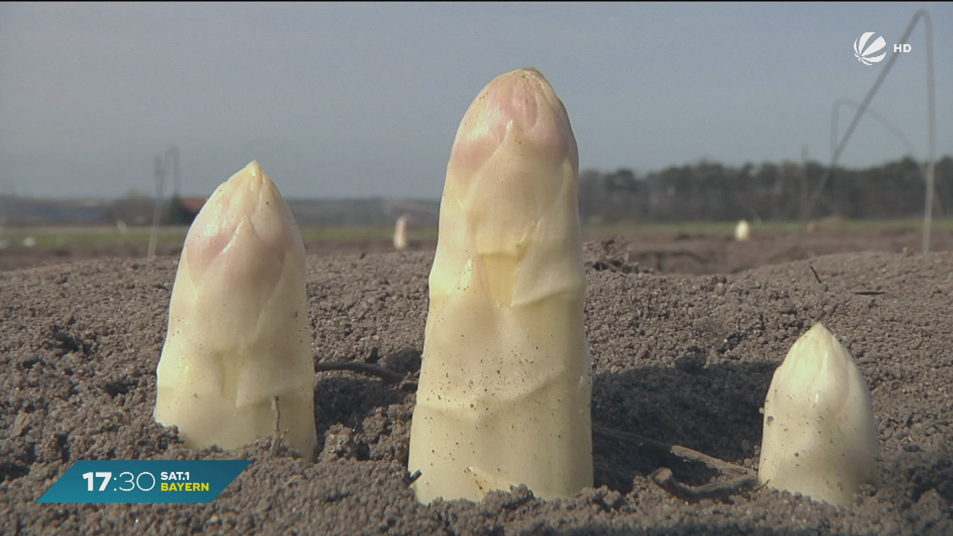 Video: Schlechte Ernte in Bayern: Weniger Spargel und Erdbeeren