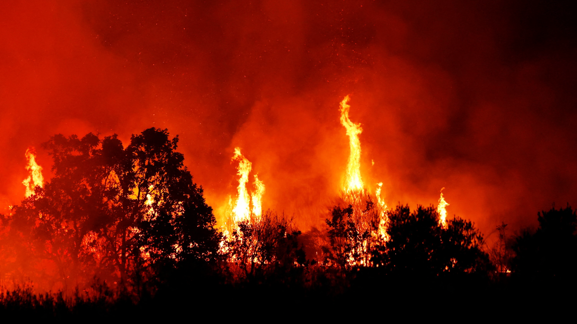 Video: Waldbrände: Spanien bittet EU um Hilfe