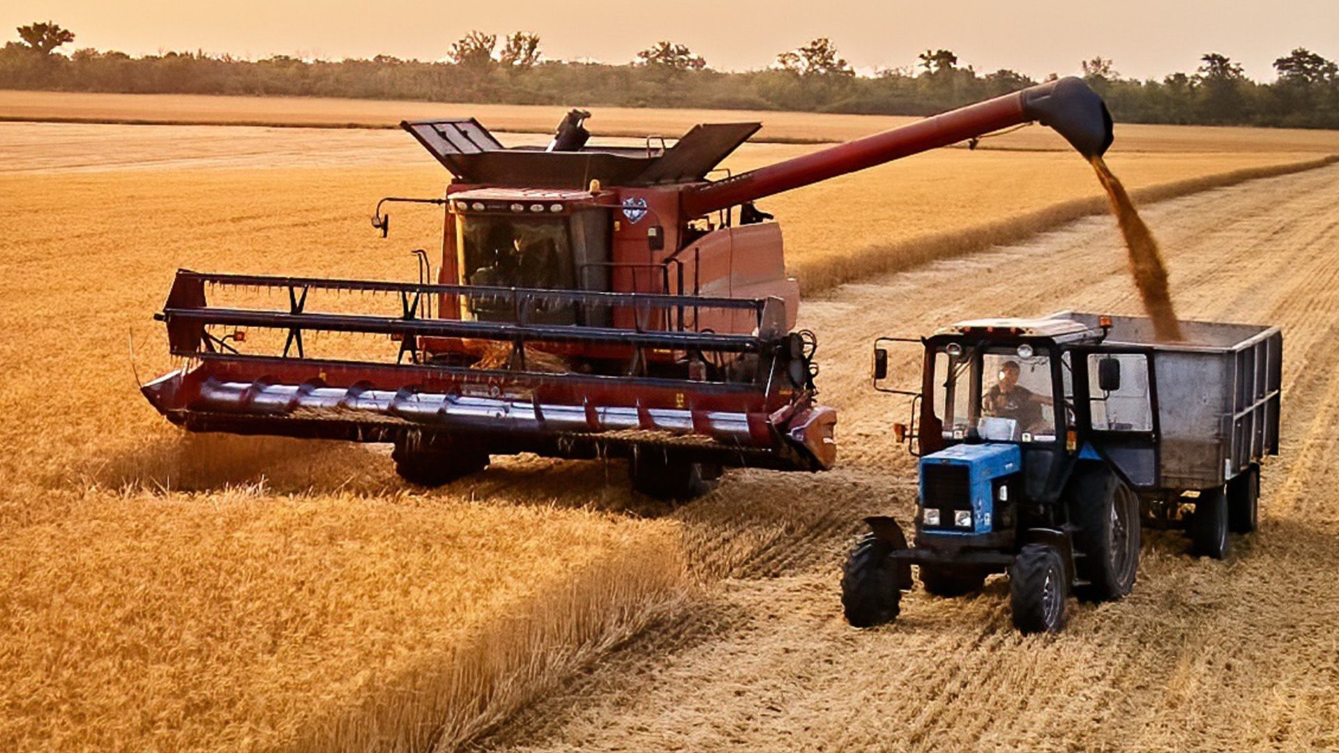 Video: Wetter macht Landwirten zu schaffen