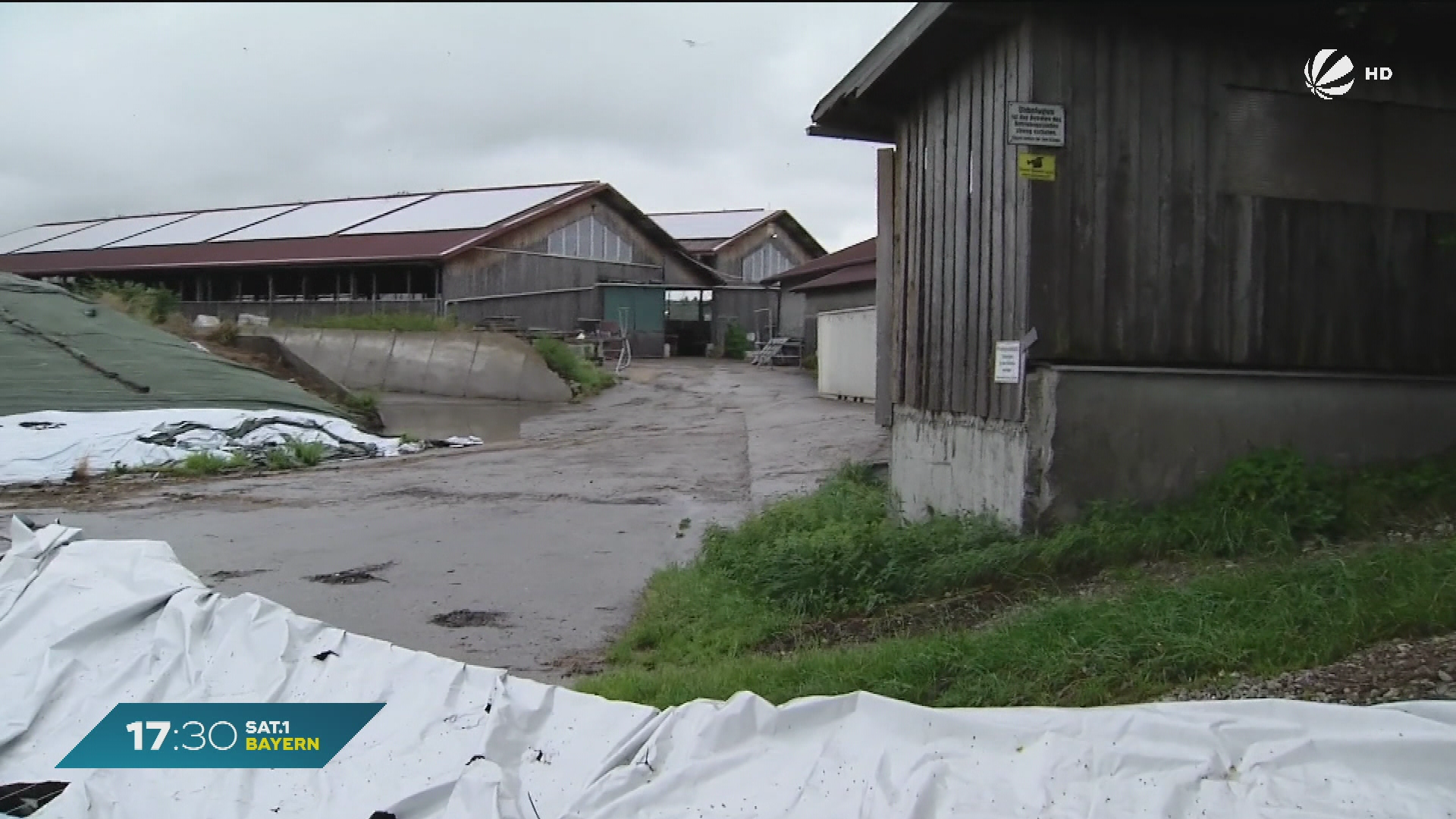 Video: Nach Tierschutz-Skandal in Bad Grönenbach: Rinderhalteverbot für Betreiber