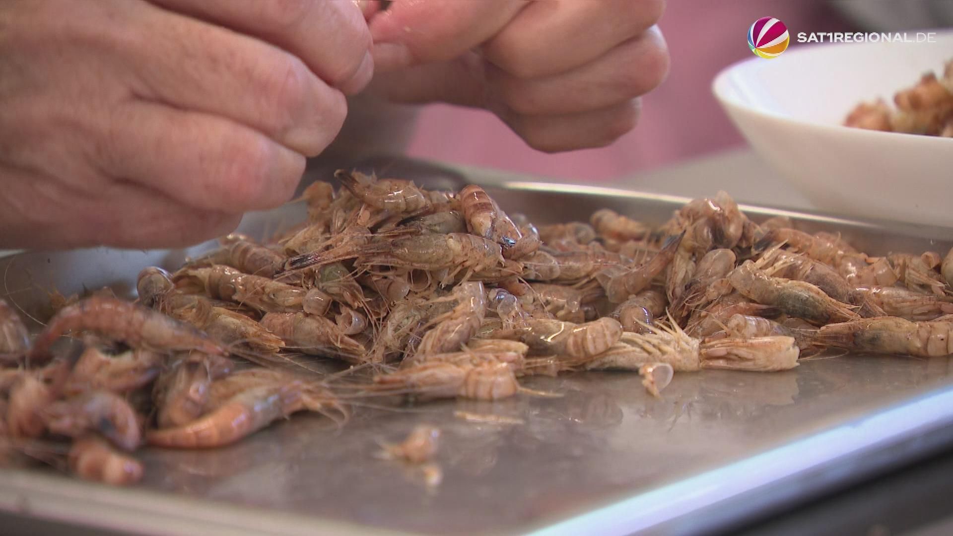 Peeling Crabs: 63-Year-Old Brings Tradition Back to Northern Germany