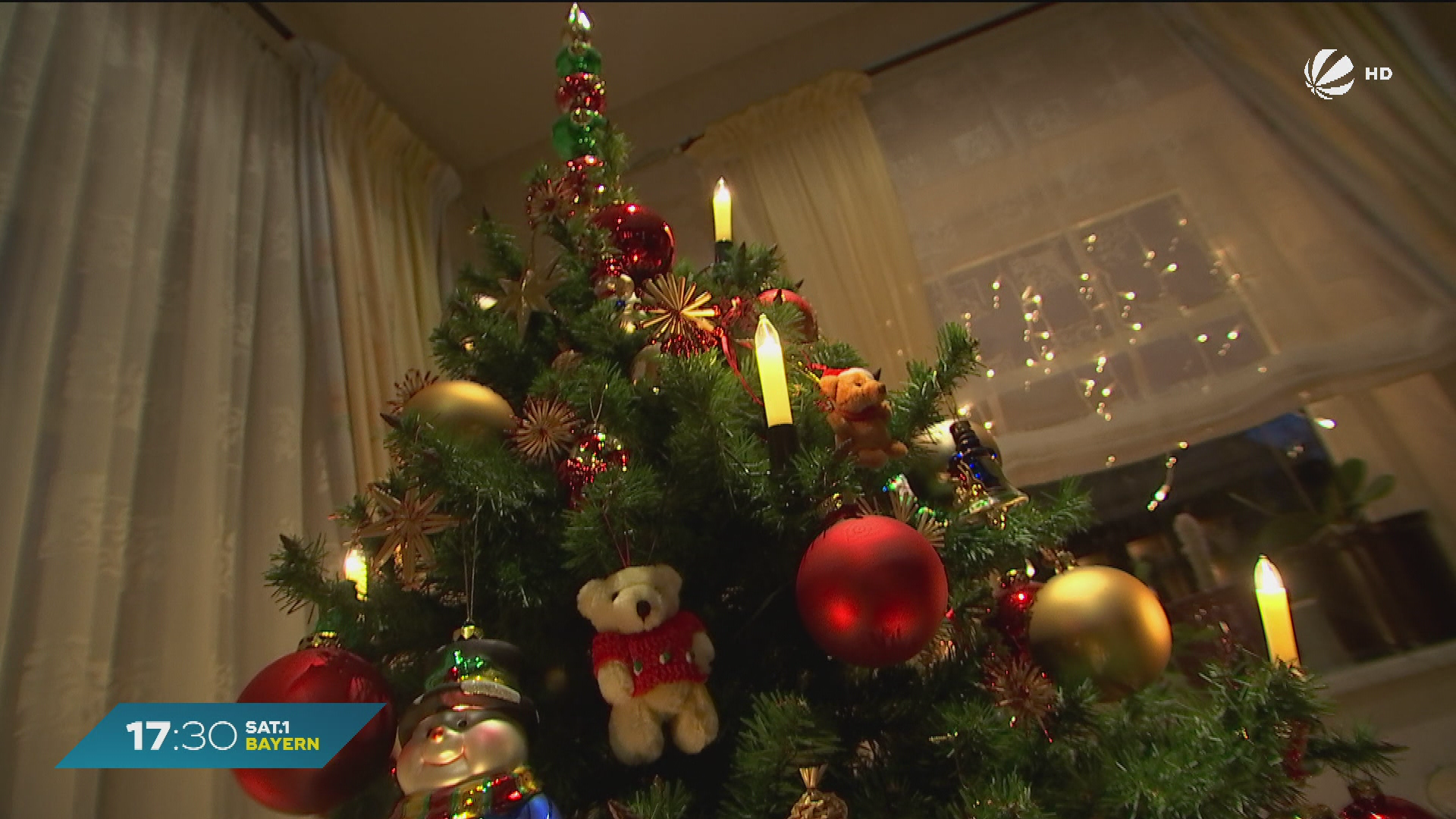 Video: Kein Christbaum zu Weihnachten? Trockenheit setzt Bayerns Tannen zu