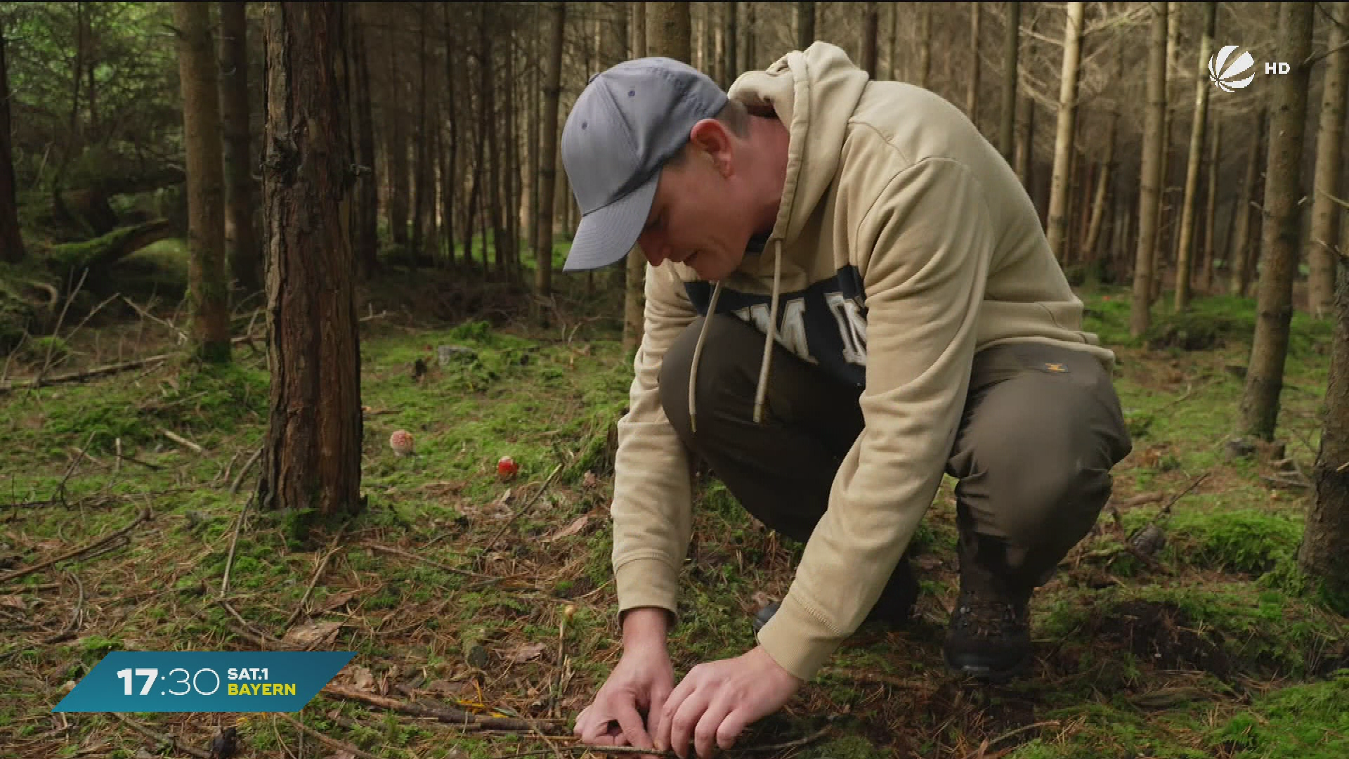 Video: Schwammerlzeit in Bayern: “Pilzfluencer” warnt vor gefährlichen Verwechslungen