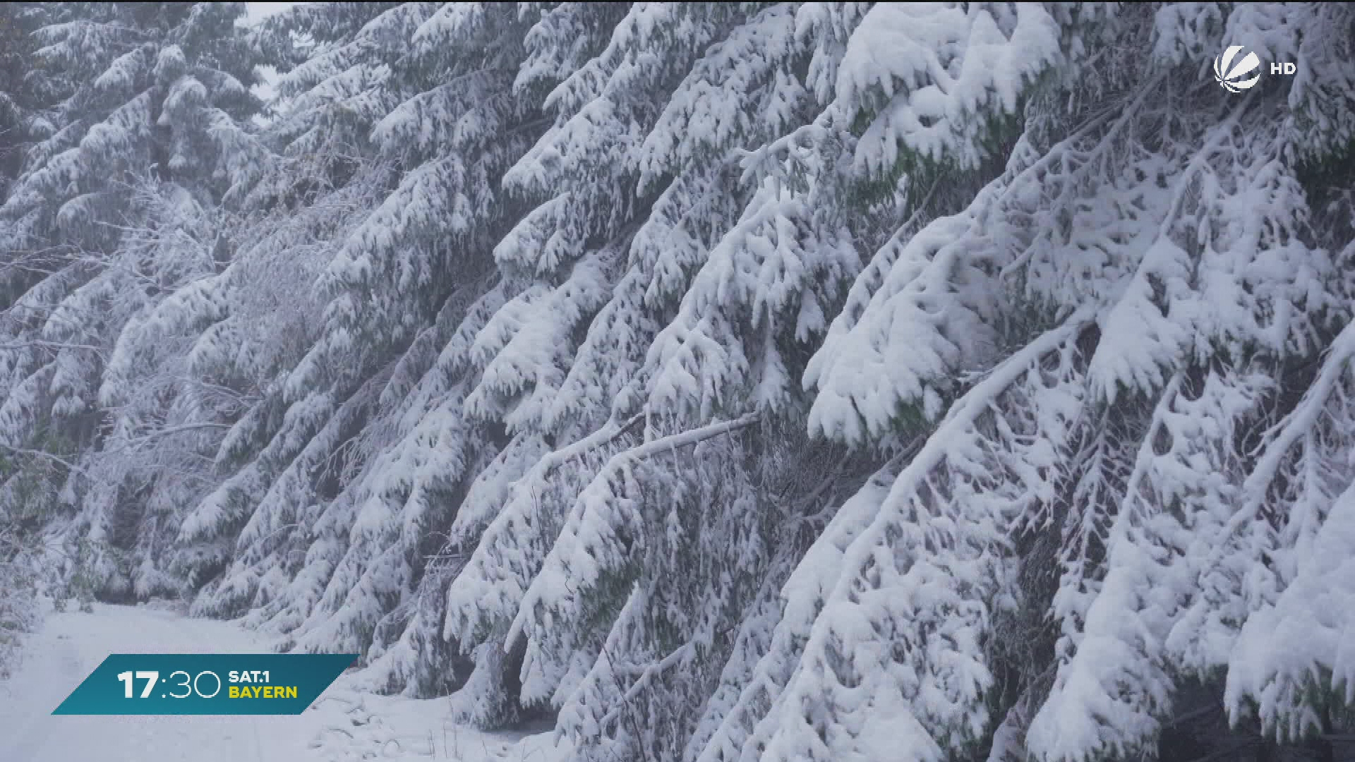 Video: Wintereinbruch in Bayern: 10 cm hohe Schneedecke auf dem Schneeberg