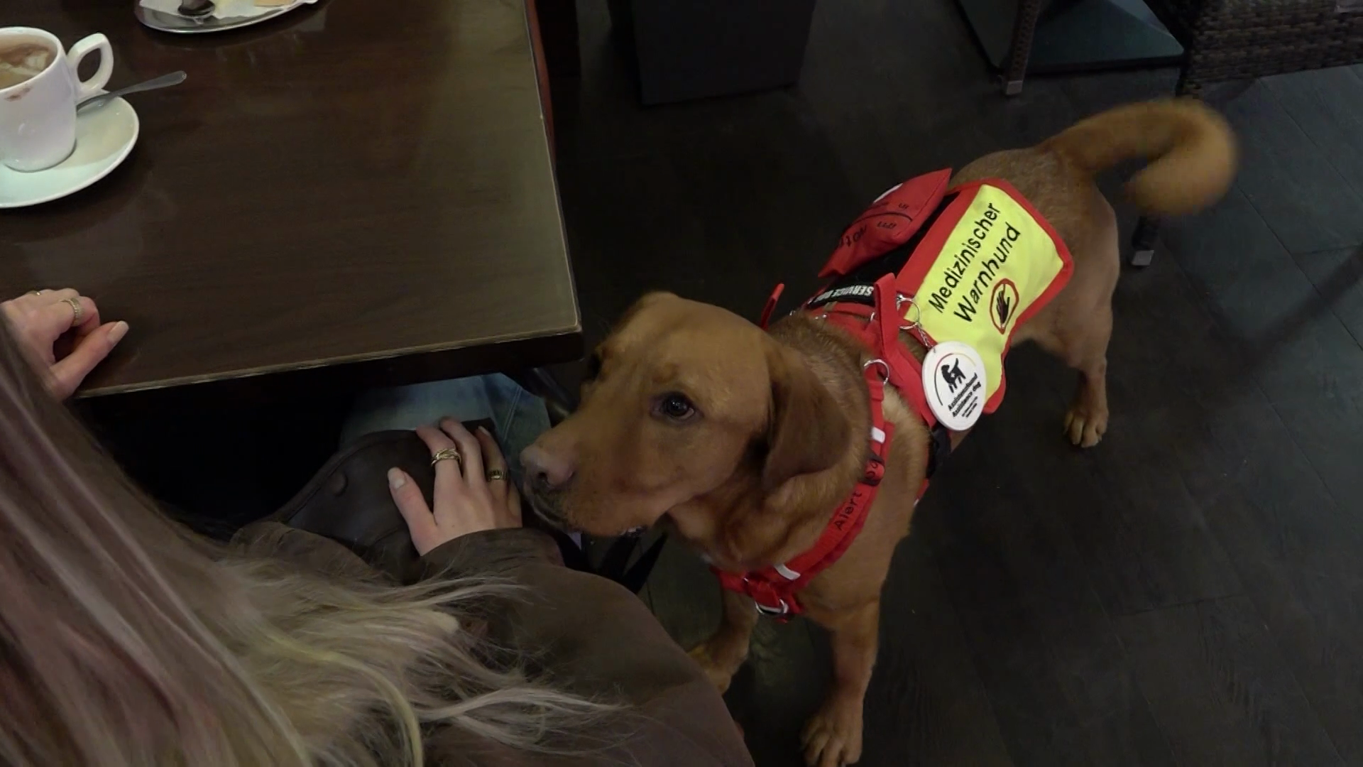 Video: Assistenzhund hilft Chantal in NRW