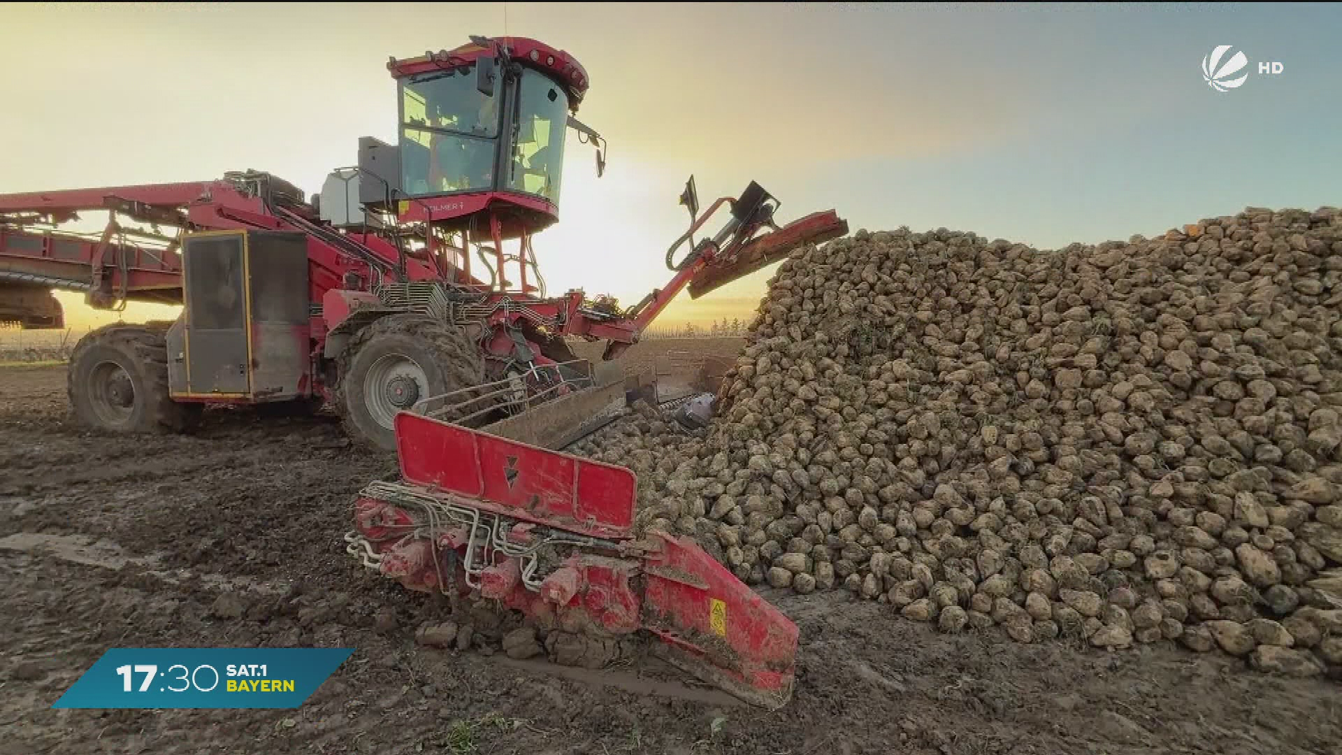 Video: Sorge bei Bayerns Landwirten: Billigimporte durch Mercosur-Abkommen?