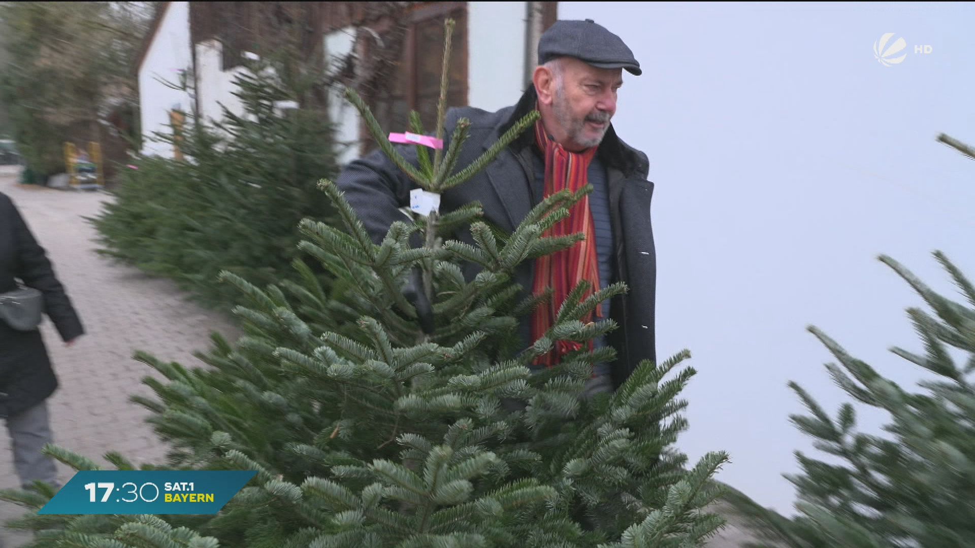 Video: Frischer Duft im Wohnzimmer: Last-Minute-Weihnachtsbäume häufiger gefragt