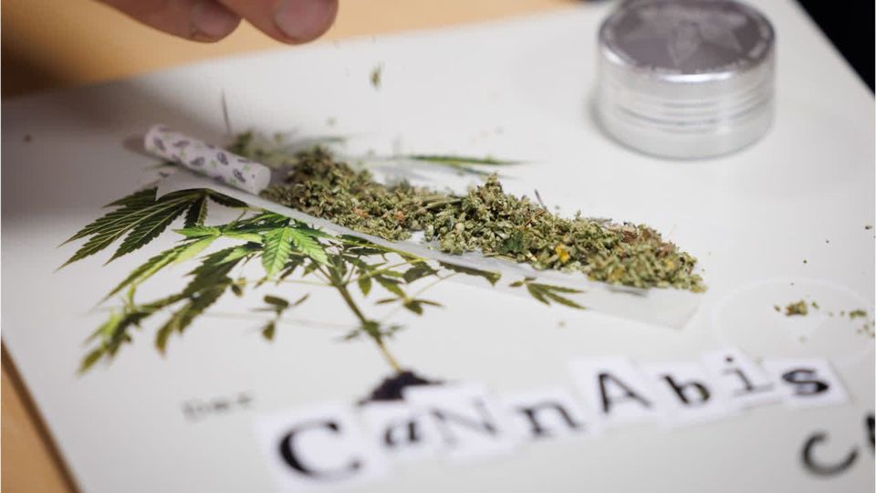 Deutschland ist XL-Markt für Cannabis