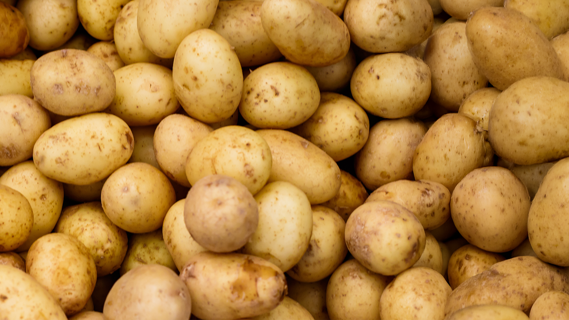 Video: Wenn die Super-Ernte zum Fluch wird