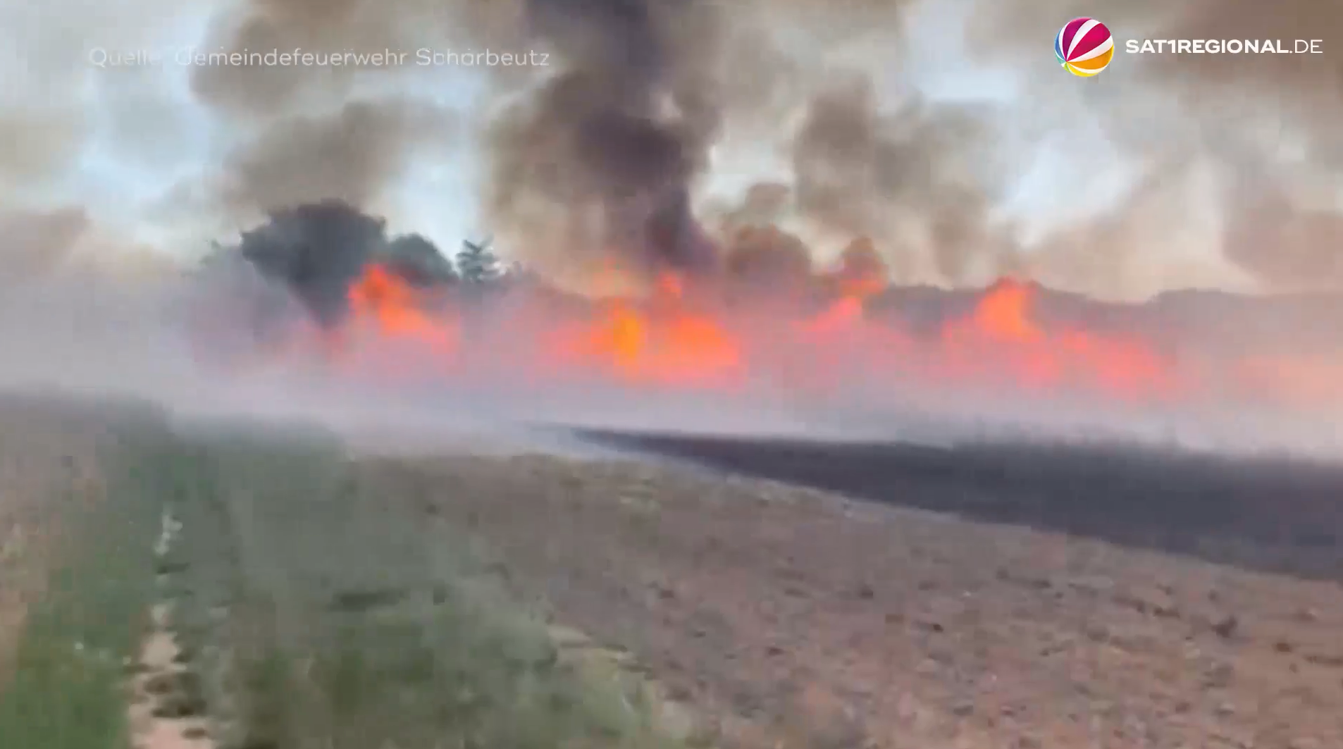 Video: Hitze und Trockenheit: Erhöhte Brandgefahr in Schleswig-Holstein