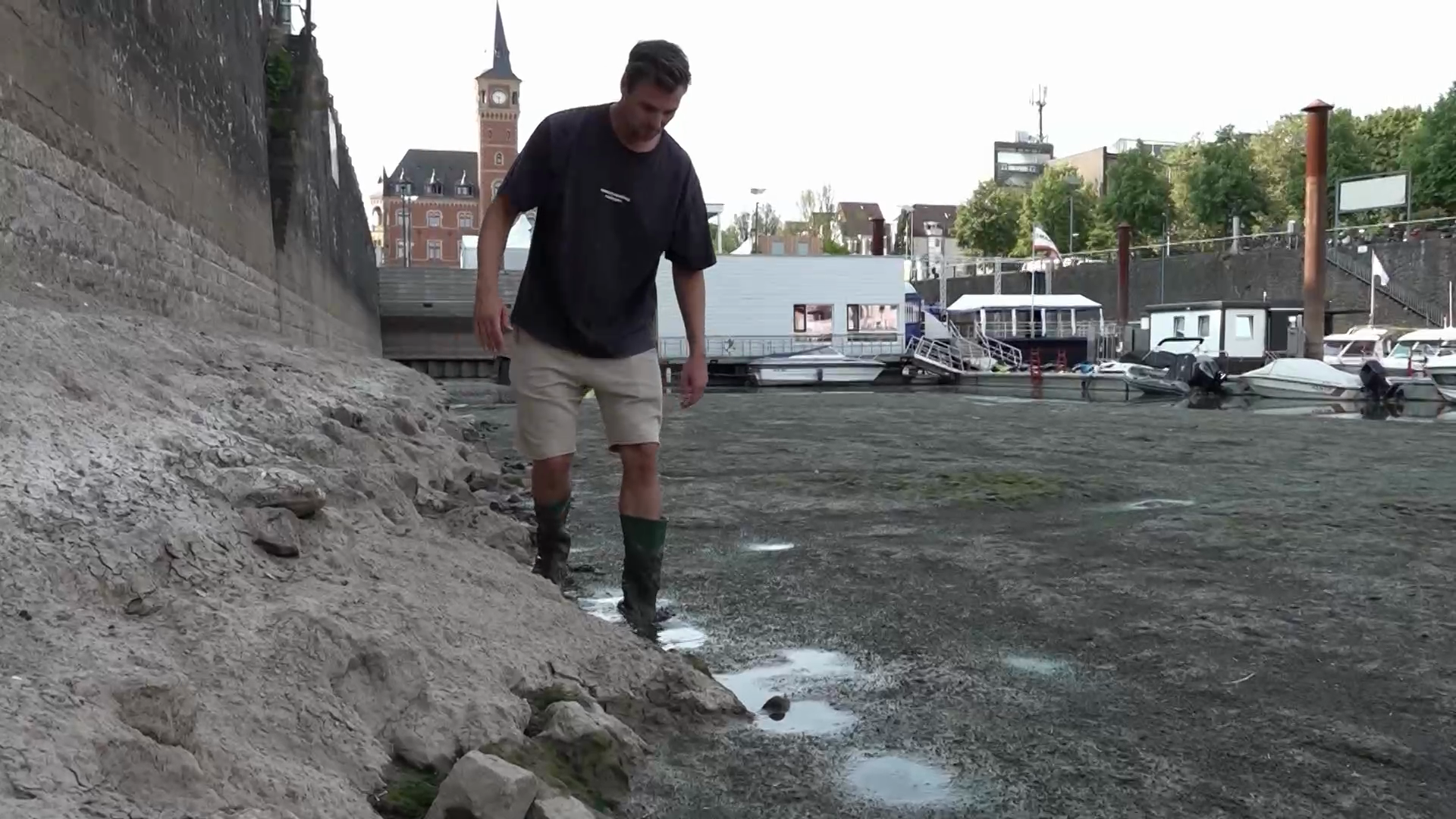 Video: Rheinisches "Wattenmeer": Nur noch 35 Zentimeter Wasser im Rheinauhafen