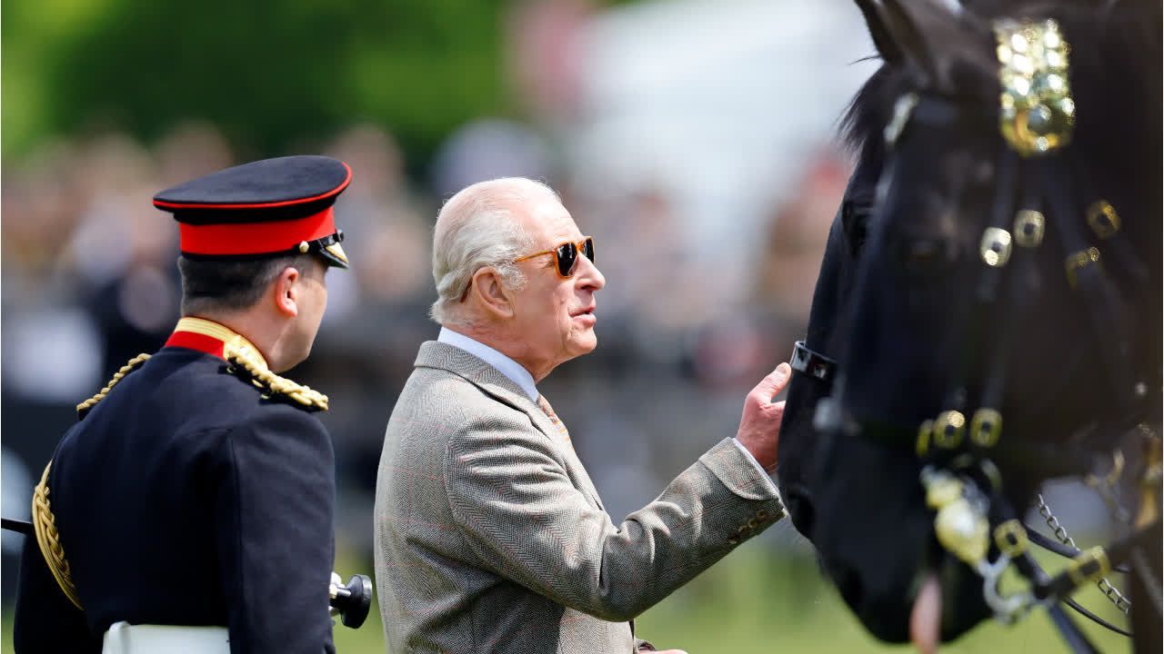 Video: König Charles verkauft Pferd im Wert von mehreren Millionen