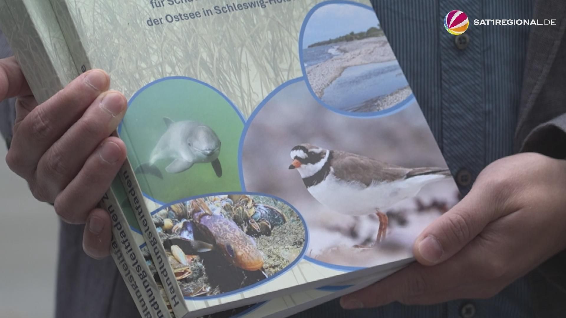 Video: NABU fordert radikale Kehrtwende zum Schutz der Ostsee