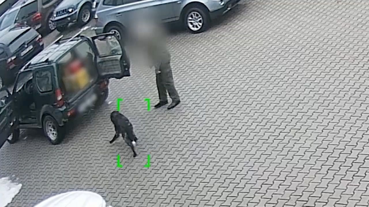 Schock-Video aus Oberfranken: Mutmaßlicher Jäger prügelt auf Hund ein
