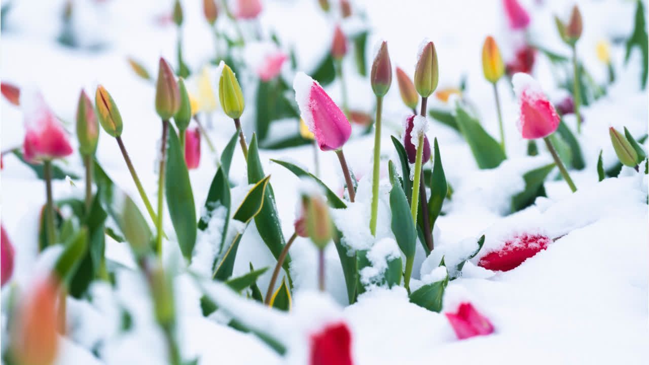Video: Deutscher Wetterdienst warnt vor Frost und Glätte