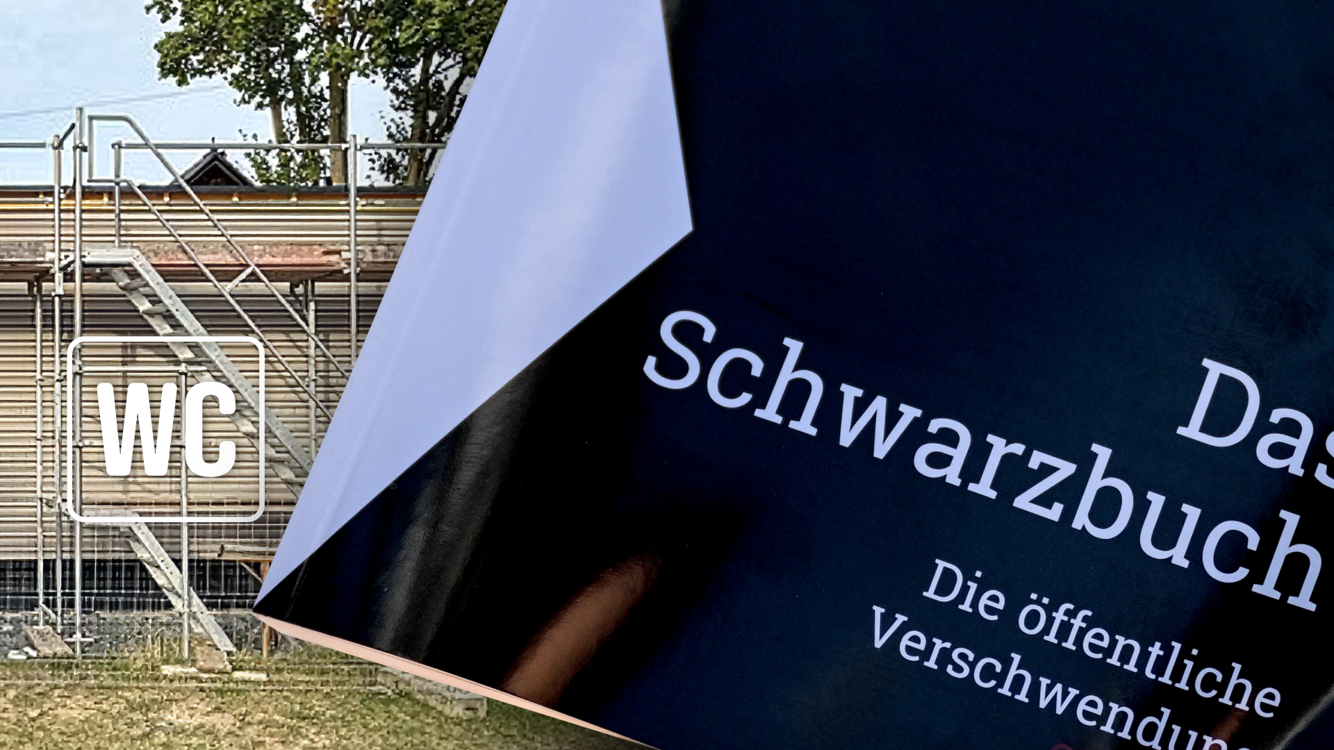 Video: Dreiste Fälle von Steuerverschwendung