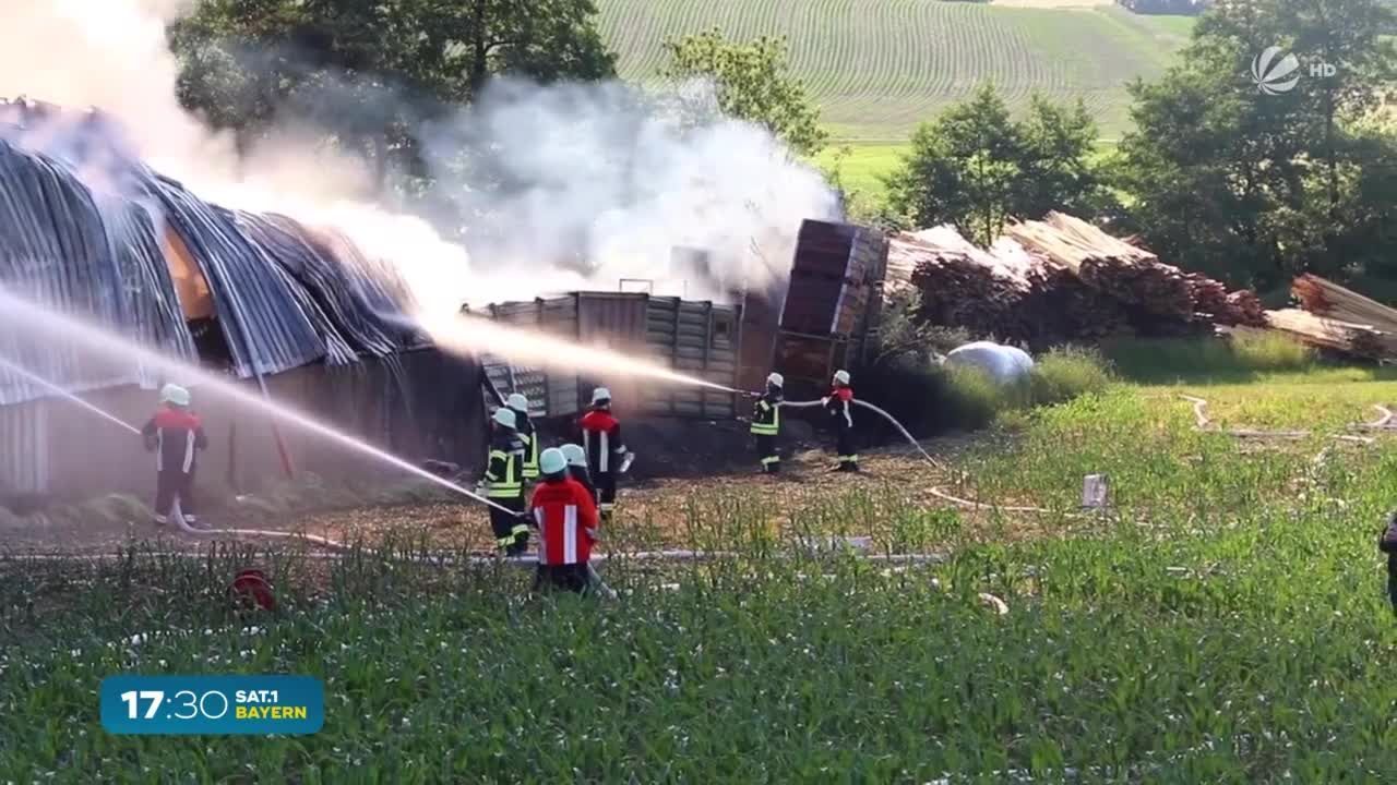 Millionen-Schaden: Großbrand in Holzpalettenwerk