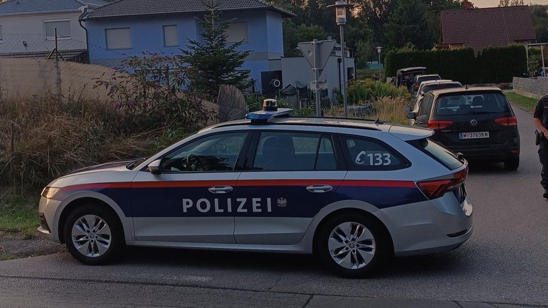 NÖ: Zwei Kinder und Mutter tot aufgefunden - Video