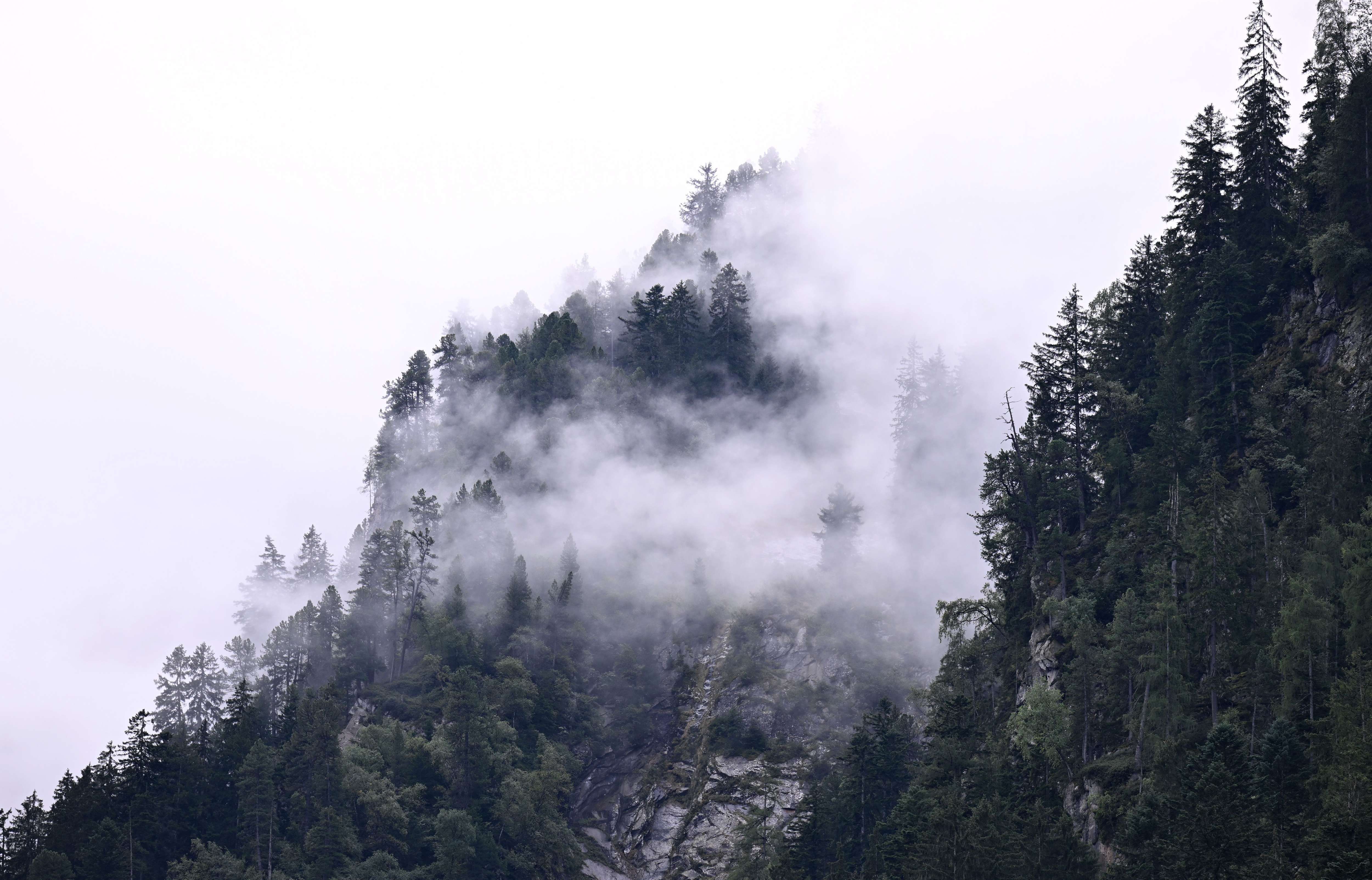 14-jähriger Syrer aus unwegsamem Gelände gerettet