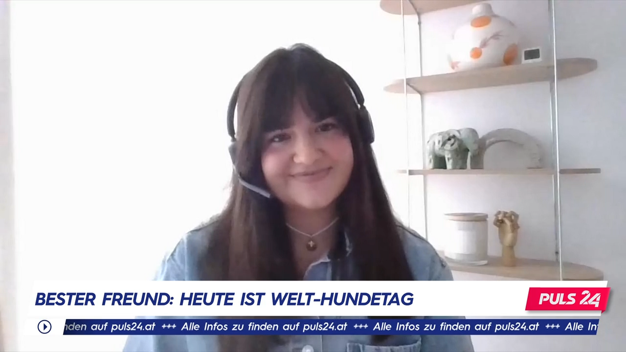 Video: Hundekauf: "Niemals per Mausklick kaufen"