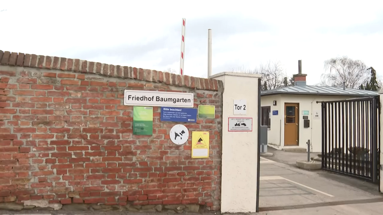 Video: Mord auf Friedhof: 14-Jährigr grsteht