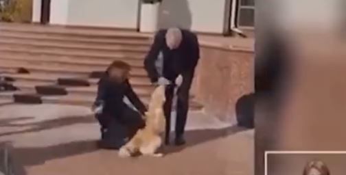 Bissiger Staatsbesuch: Moldaus "First Dog" beißt Bundespräsident Van der Bellen